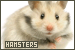  Hamsters