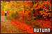  Seasons: Autumn/Fall